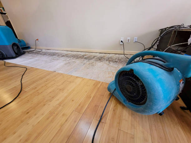 Professional Emergency Water Damage technician working in Mount Vernon, MO